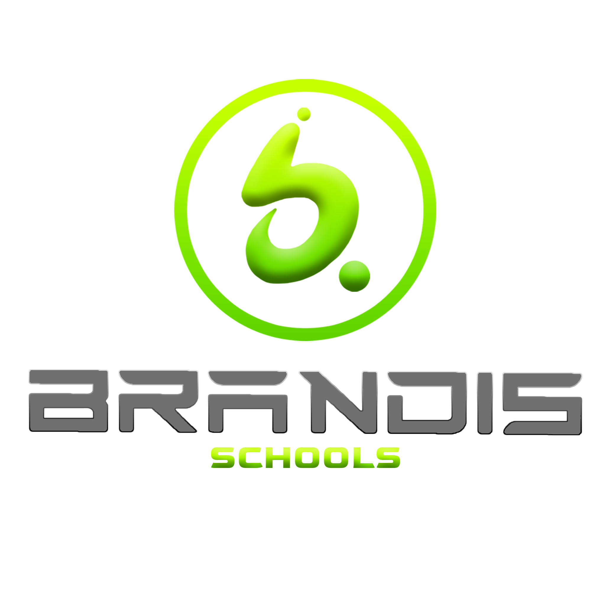 brandis schools logo